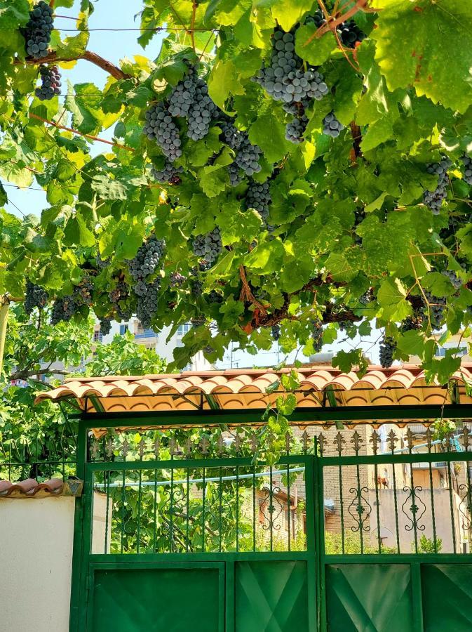 Unique Traditional House, Hosted By J&G Tirana Kültér fotó