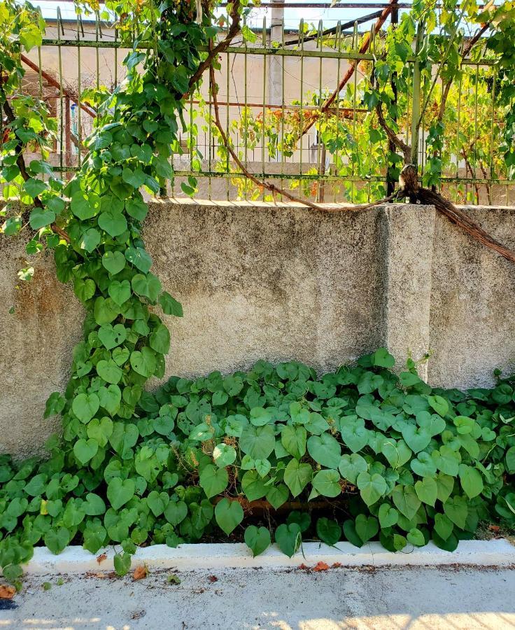Unique Traditional House, Hosted By J&G Tirana Kültér fotó