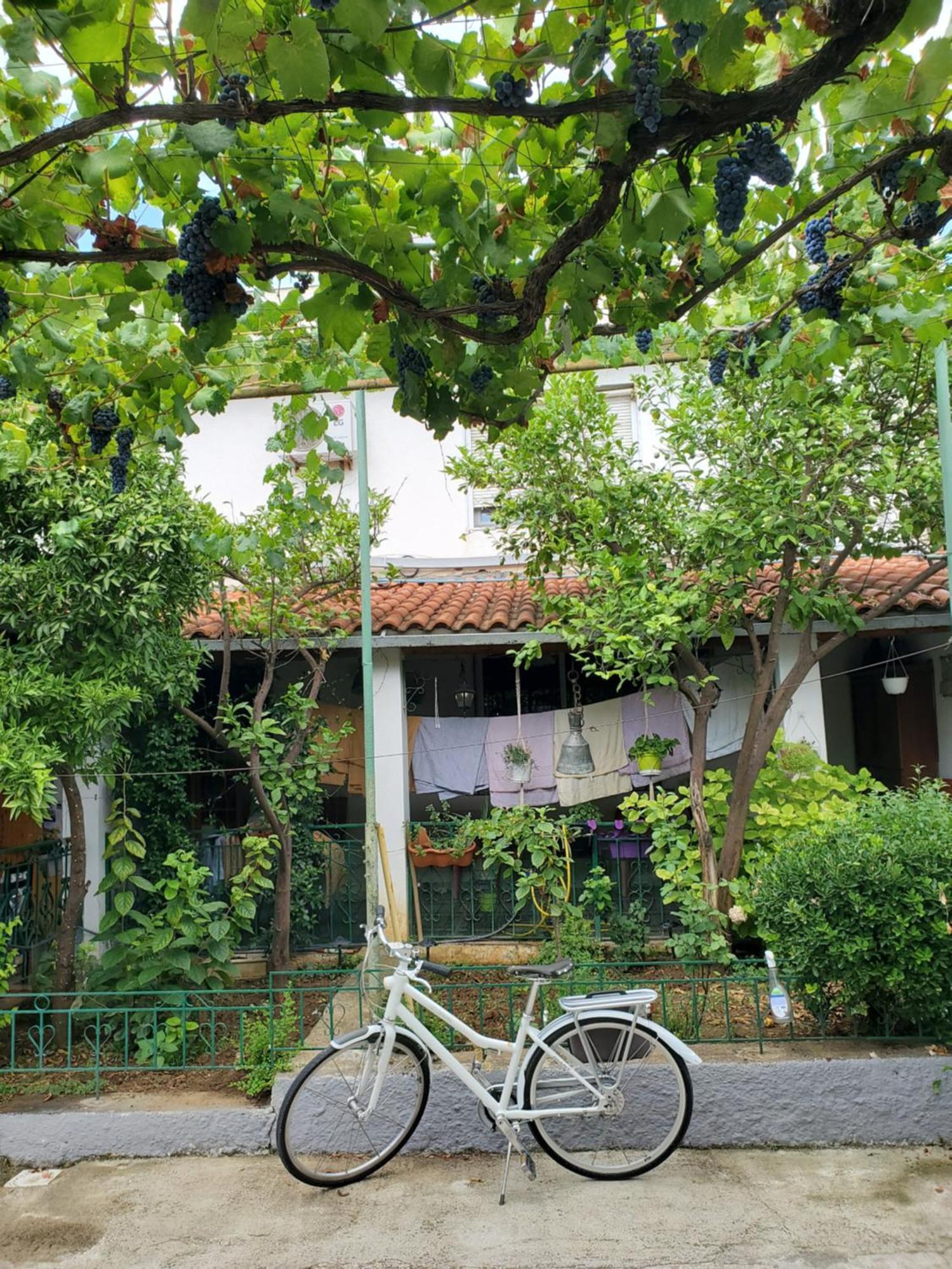 Unique Traditional House, Hosted By J&G Tirana Kültér fotó